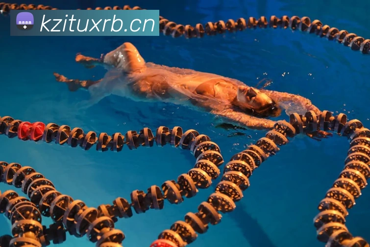 星空体育登录入口网站服务体系